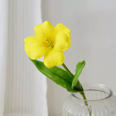 Yellow (brownie)