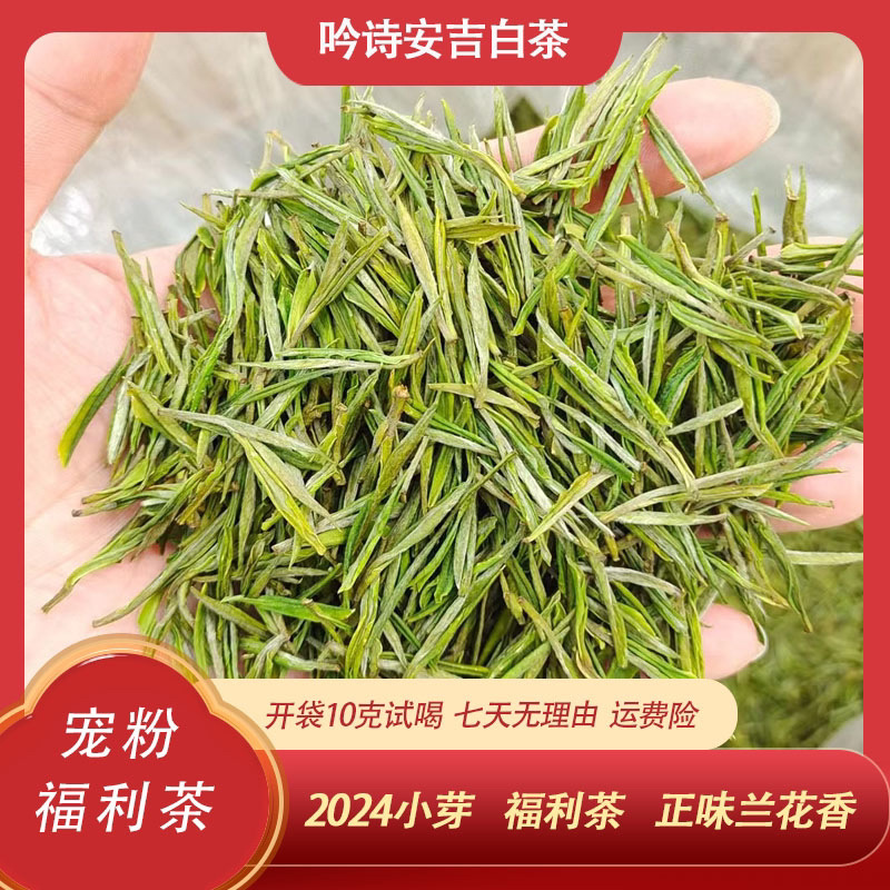 [G28 Fan Welfare Program] 2026 New Tea Anji White Tea Original Tea Farm Brand Selection of Premium Tea