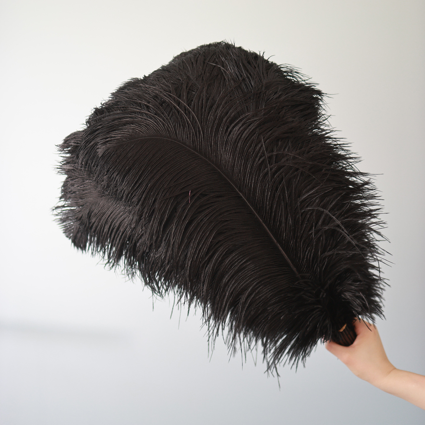 Plumas negras al por mayor DIY accesorios de decoración de ropa accesorios escenas de diseño de fábrica de plumas tienda directa