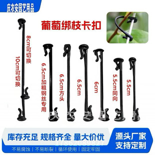 ���ѽ�֦���㶹�W�v�����t����֦�������r�����پW���h����������
