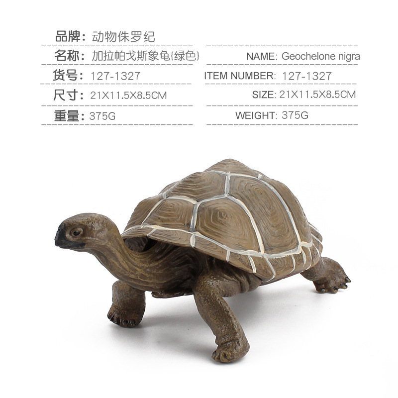 Simulación tortuga sólida Galápagos elefante tortuga juguetes marino mundo tortuga modelo de animal amazona
