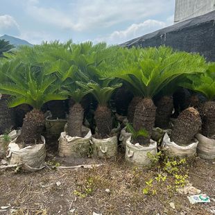 �����F���������l �V�|�F�� ���^�F���辰 �㽭�F���Ϙ��ļ����G