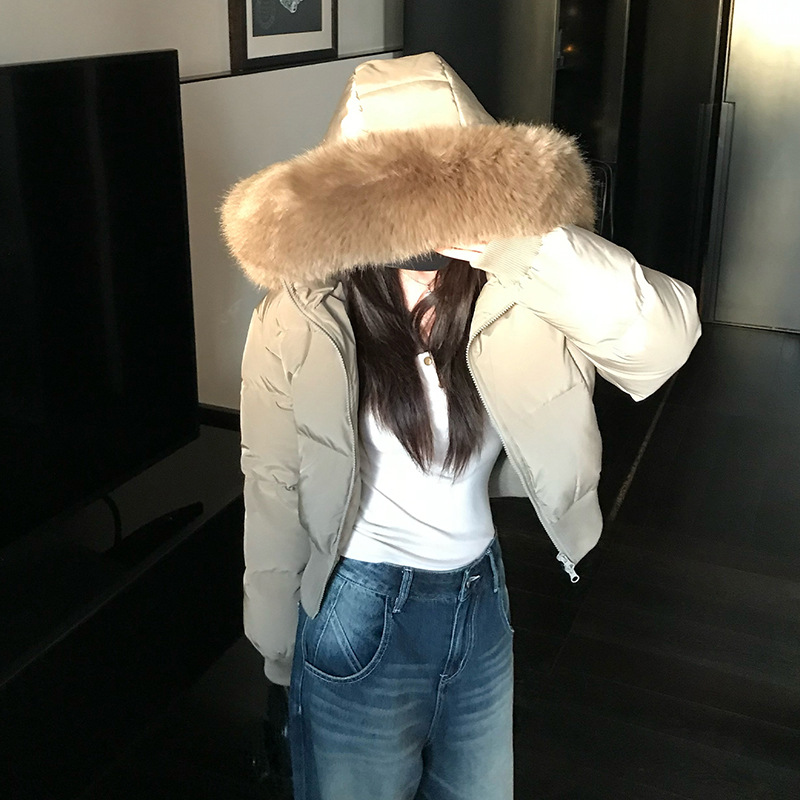 2025 invierno nuevo suelto delgado cuello con capuchón corto plumón chaqueta de algodón para mujeres cintura gruesa chaqueta de algodón