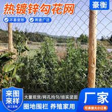 圈地养殖热镀锌勾花网矿用菱形勾花网热镀锌铁丝网六角网拧花网