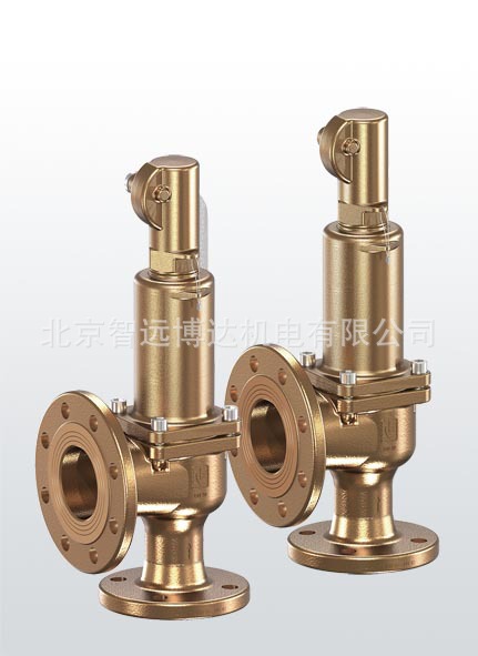 德国高策GOETZE KG安全阀 852sGL 852sFL 852sGFL 泄压溢流阀门