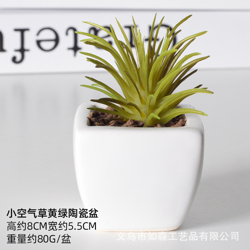 Simulación de cerámica bonsai de carne doméstica decoración de escritorio de oficina plantación verde maceta props de disparo maceta combinada artificial image 52