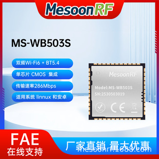 WiFi 6ģ�M2.4G/5G�p�l�pģBT5.4�{��ģ�K�{���W�P/�W��MS-WB503S