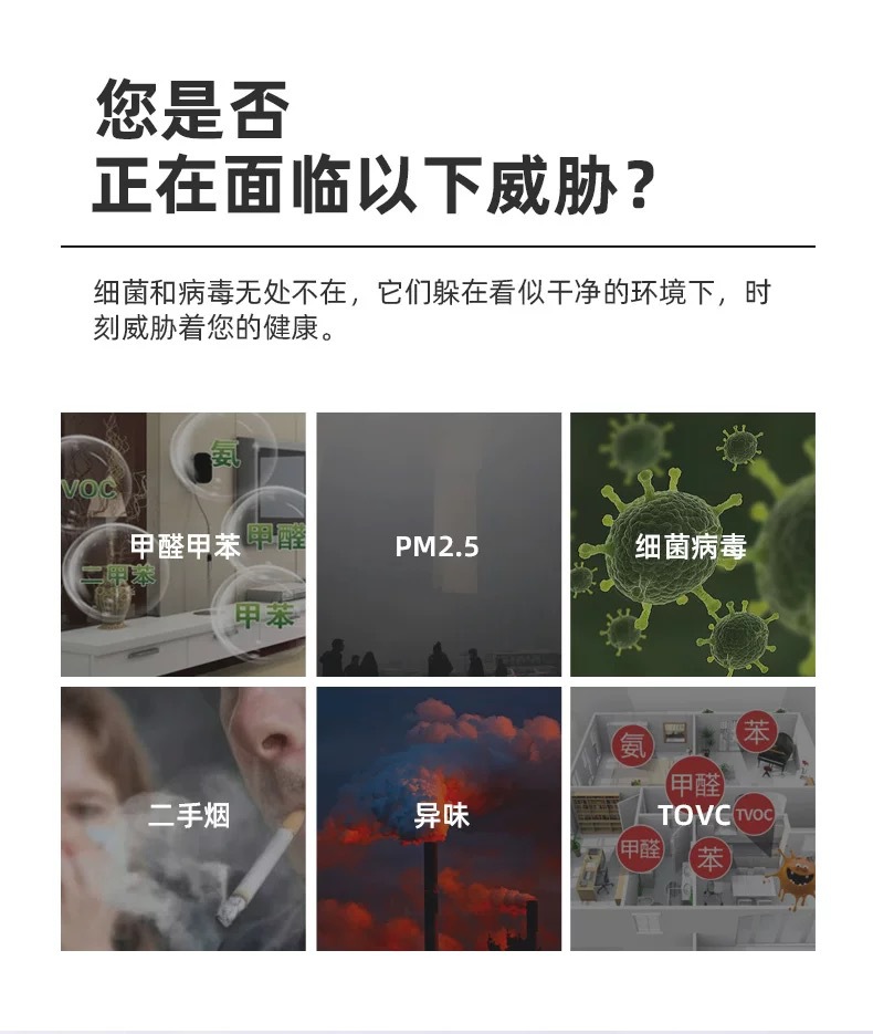 详情12