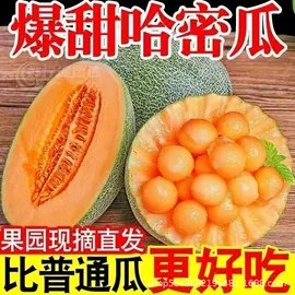块茎类;其他蔬菜;瓜果类