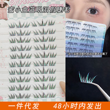 蜜小盒夏日蓝眼泪渐变彩色假睫毛撞色自然狐系漫画眼演唱会应援妆