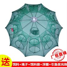 �~�W�r�\��W���r�W���~�\���r�W���~ץ���q�S�X�з�\�S���l