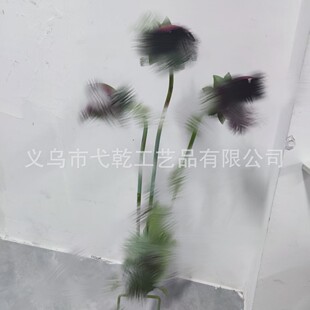 �羳Whimsical Carnivorous Flower Garden Stakeʳ�⻨��֧��