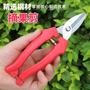 �¿�����M�ڲ��P�Ě�����ӌ��ü����@����֦��ժ�߹�����