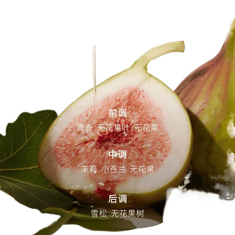 且初洗发水溜溜柔顺无花果蓬松防毛躁洗发露男|undefined