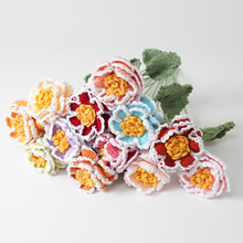 ��Ʒĵ��ë���ֹ��h��������ᘿ�������ҾӔ[�O���䴺���Y��