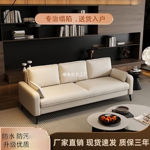 Light Luxury Sofa for Small Living Rooms, Simple Double or Triple Apartment, Clothing Store, Rental House, Seating Area, Reception Sofa
