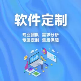 电子秤;显示仪表;台秤