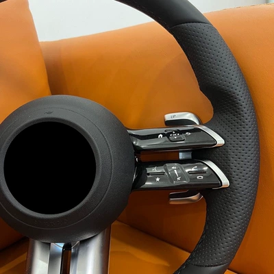 Perforated Multi-Function Button Knob, Steering wheel