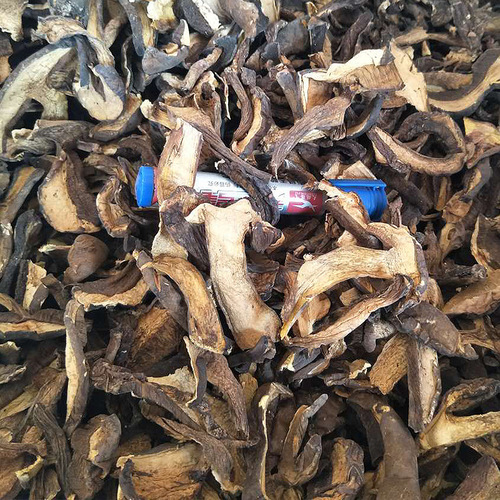 Yunnan Specialties Seasonal New Arrivals Black Boletus Dried Goods Small Spades Dried Goods Black Wood King Mushroom Dried Goods Origin Wholesale