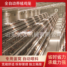 鸽子笼蛋鸡笼肉鸡H型鸡笼养殖场层叠式自动肉鸡A型鸡笼多层鹌鹑笼