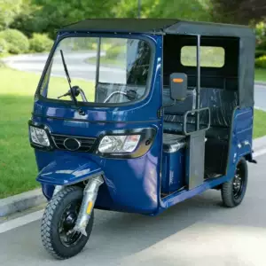 Fuel-powered passenger tricycle, tuktuk, sunshade with canopy, passenger transport, export, canopy for sightseeing and transportation