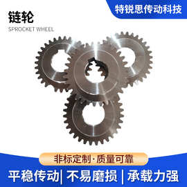 优惠供应高精密双排链轮齿轮型号齐全镀铬链轮高强度不锈钢组合