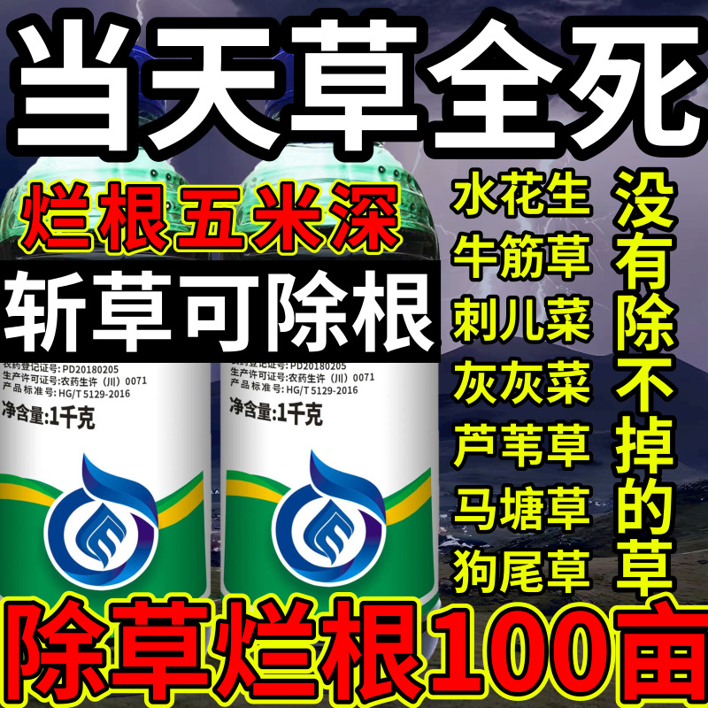 当天草全死高浓度精草铵膦铵水花生牛筋草斩草除根杂草烂根除草剂