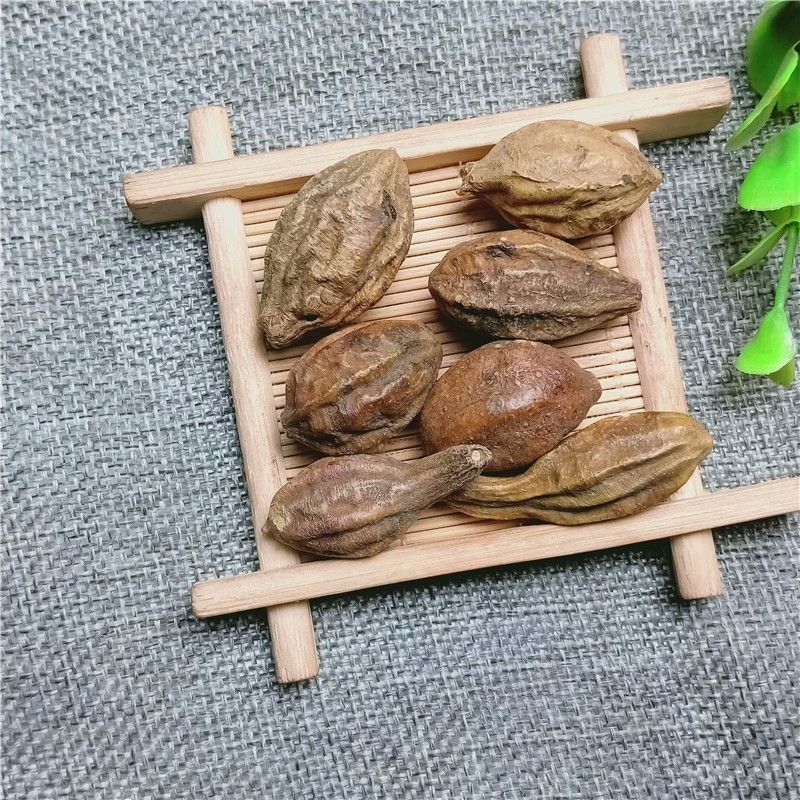 Chebula Fruit He Zi 500g Dried Terminalia Chebula Slices Traditional Chinese Herb for Decoction and Tea quality and texture