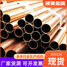 TP2�������~�P�� ���и�T2�o���ߌ���~��C1100���~��ë�����~��