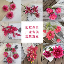 ٻ쾰õtɫϵ滨cYÈ҃ȼҾӿ͏d[