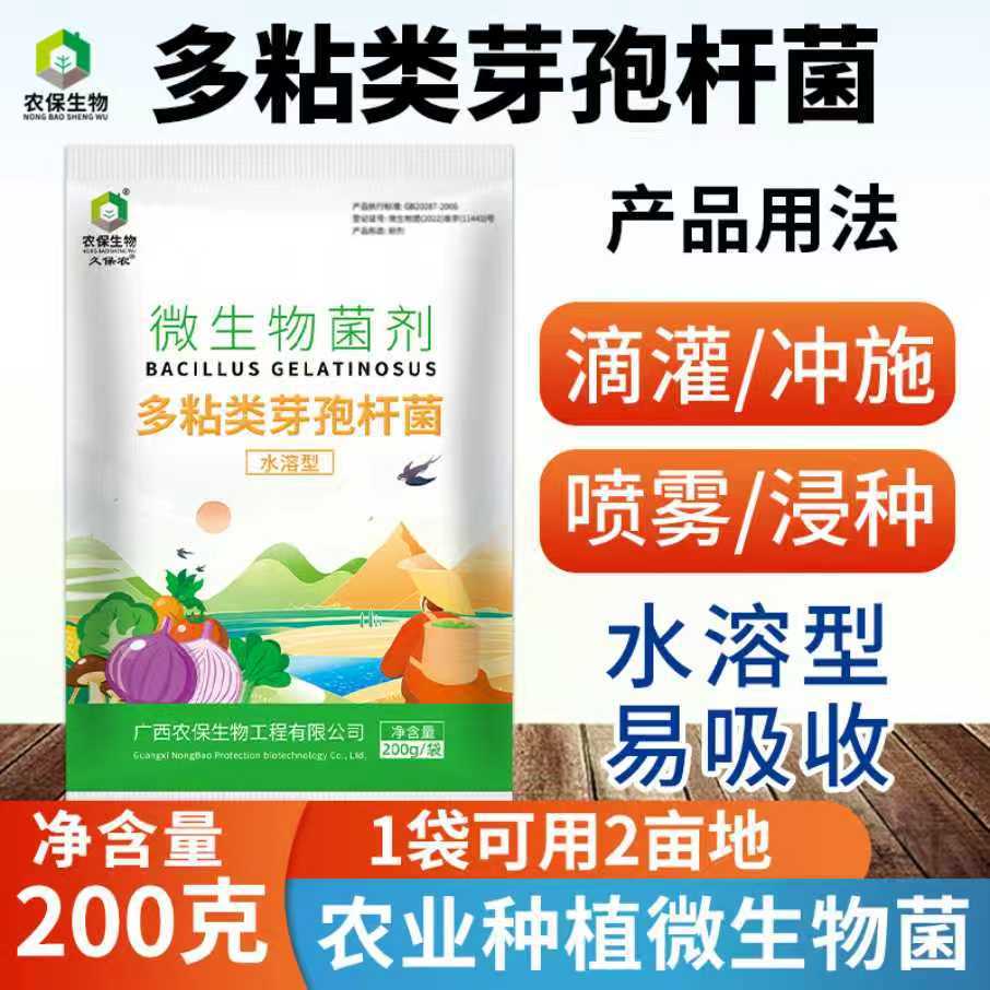 水溶型 多粘类芽孢杆菌降低根腐青枯软腐角斑叶斑微生物菌