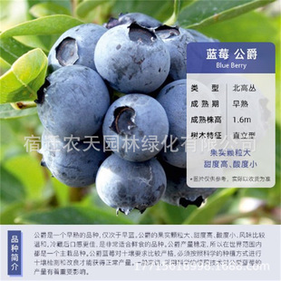 ���������{ݮ������̨�ļ����ԷNֲ�Ϸ�����ͥԺ���N�箔��Y��