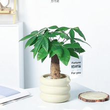 lֲؔ҃ȿ͏dBkˮGֲС辰СԻl