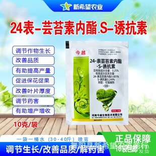 �T����+̦ܿ�؃�����֬�� ���籣�������a�~��ʽ�ș�����L�{����