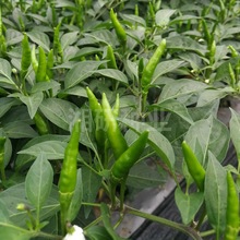 ����54-����6.5-7����С���������r���ó��콷�N�����l