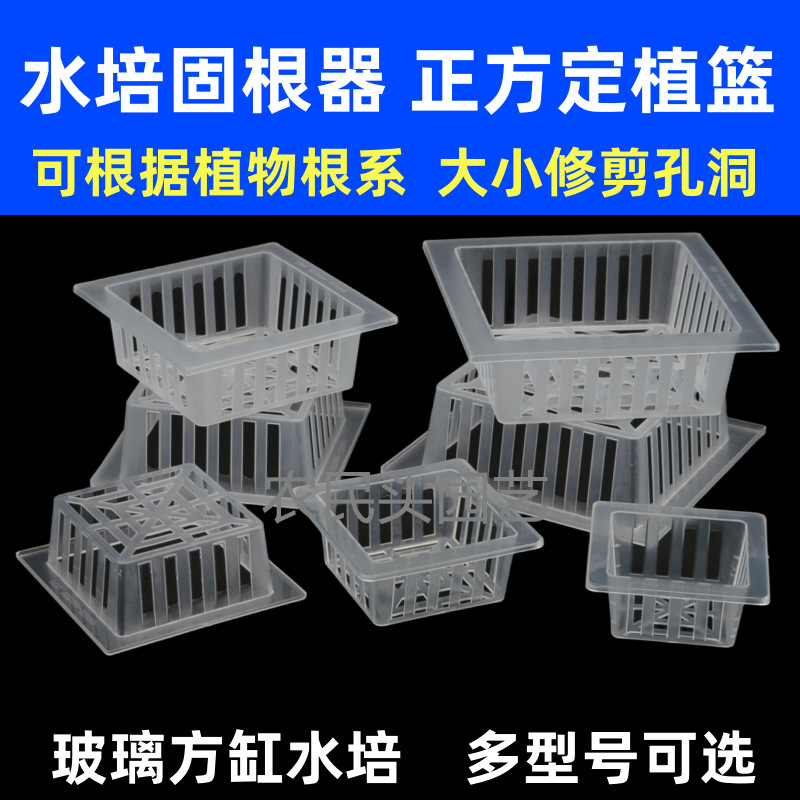 Wholesale plastic square planting basket glass square bottle root fixing device square cylinder rooting pot gardening green plant hydroponic fixing frame Wholesale plastic square planting basket glass square bottle root fixing device square cylinder rooting pot gardening green plant hydroponic fixing frame