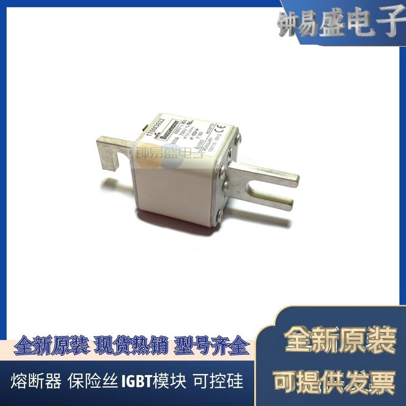 美国BUSSMANN熔断器170M3016  170M3017  170M3018  170M3019