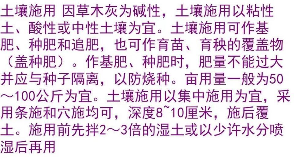 02027bf4-05ce-4efb-aa86-b32bf078857c.jpe