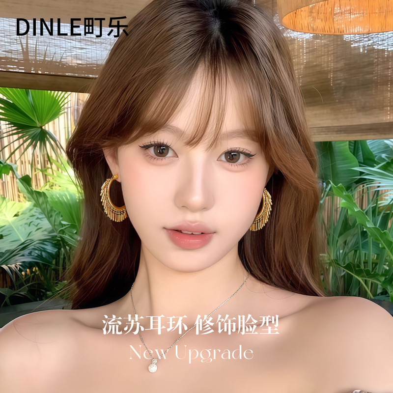 S925银针欧美夸张流苏耳环女高级感轻奢百搭简约气质耳圈耳饰批发|undefined