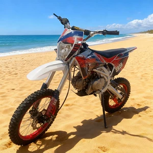 125Cc-150Cc Off-Road Motosiklet, Bütün Ərazi Atv Yarış Motosikleti