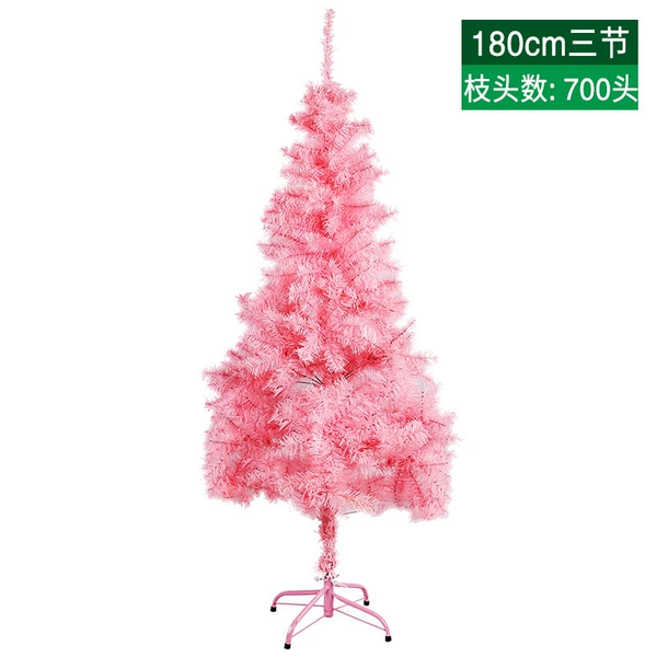 Fuchsia, 180cm