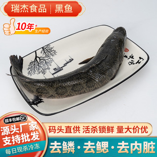 ���~���r���~���l���~