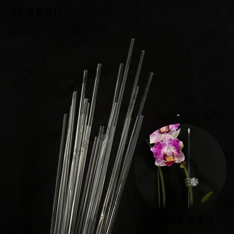 투명한 아크릴 보이지 않는 원예 지원 바 호접란 난초 스탠드