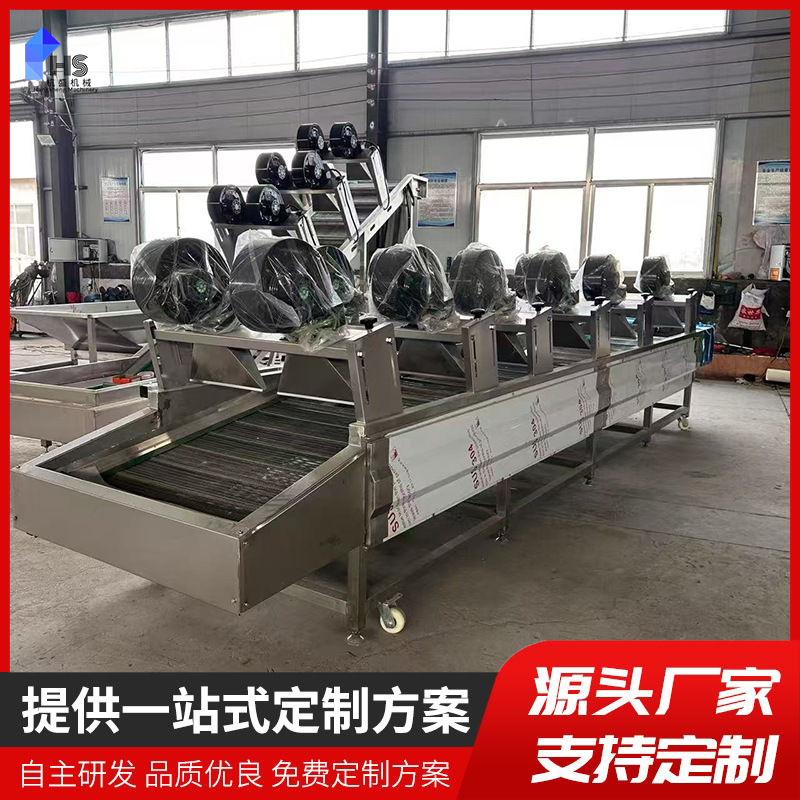 Máquina de limpieza de burbujas de frutas y verduras liofilizador al vacío de frutas para manzana liofilizada preprocesada limpia línea de ensamblaje de secado por aire