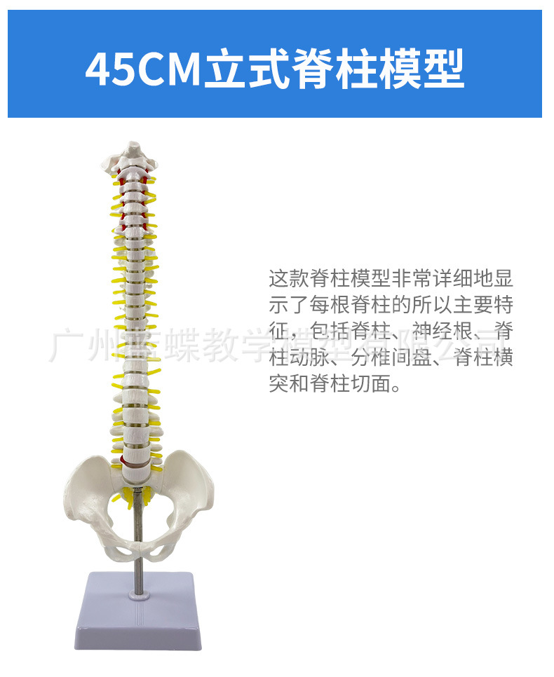 详情_15