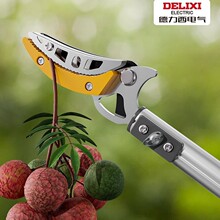 ������ժ��������s�Uժˮ����֦�������ɹ�ժ���Ӹ߿ղ�ժժ����