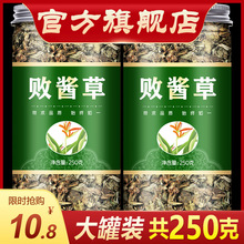 包邮 败酱草250克 马草 苦菜 野黄花 非败酱草茶中药材