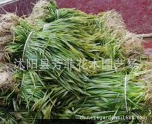 ���ۣ�������� �ļ����