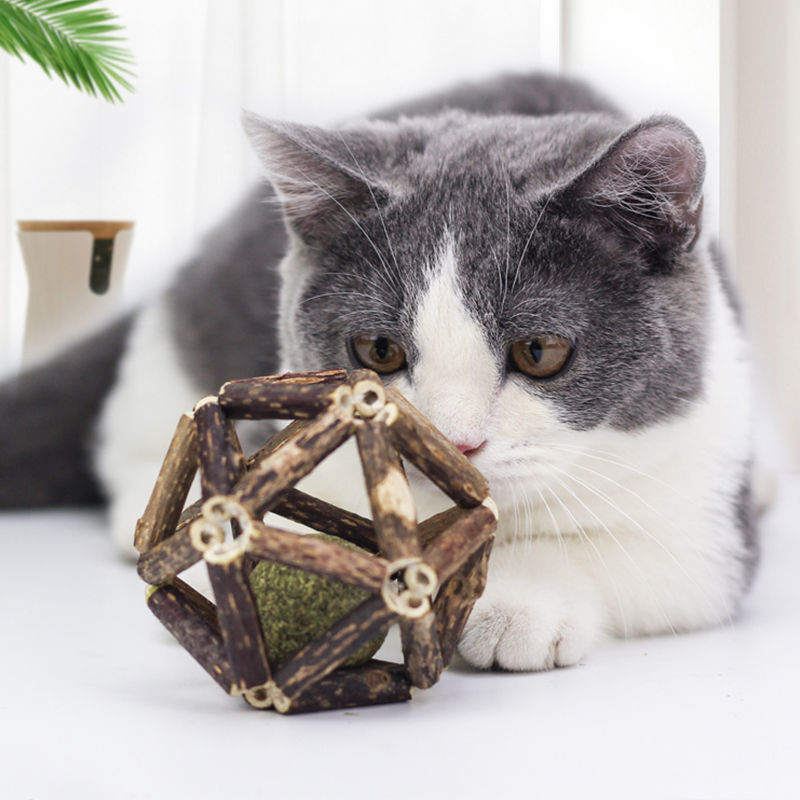 Factory Outlet Catnip Exquisite Ball Polygonum Knuth Ball Cat Toy Cat Toy Ball Large Molar Bell Ball