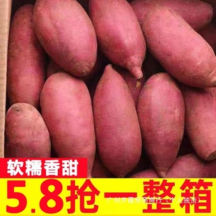 �����t�����r�r���ԷN�S�ĵع�9������Сɽ����25̖��������